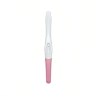 1 x Fake Pregnancy Test - 100% Positive Result