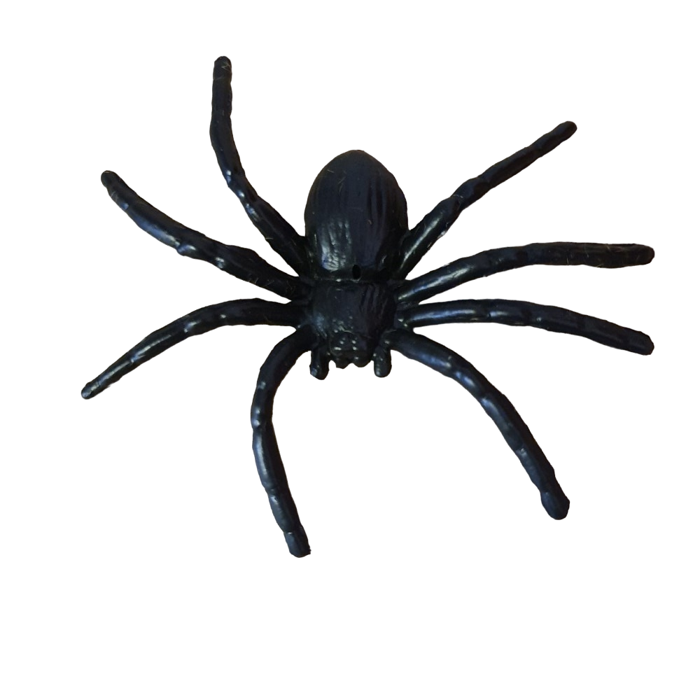 Fake Rubber Spider