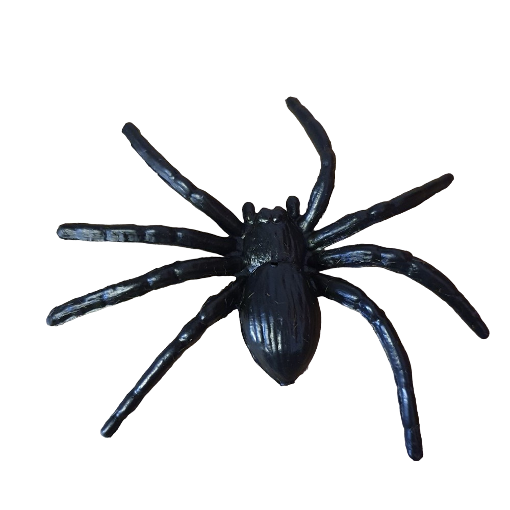 Fake Rubber Spider